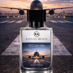 DQ Tam Dao (Inspired)