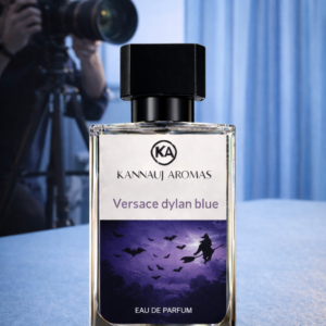 Versace Dylan Blue (Inspired)